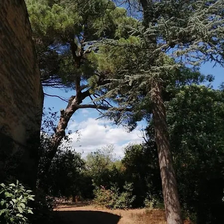 Entre Et Cevennes